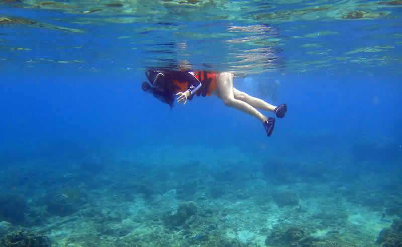 Bucear en la isla Apo - Filipinas