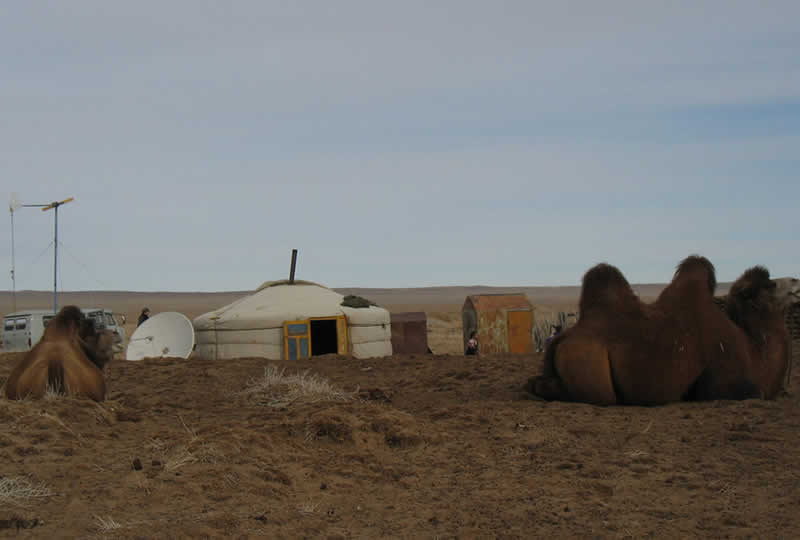 Monasterio de Erdene Zuu