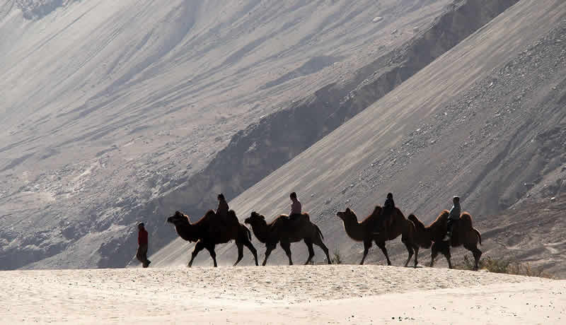 Valle de Nubra - India